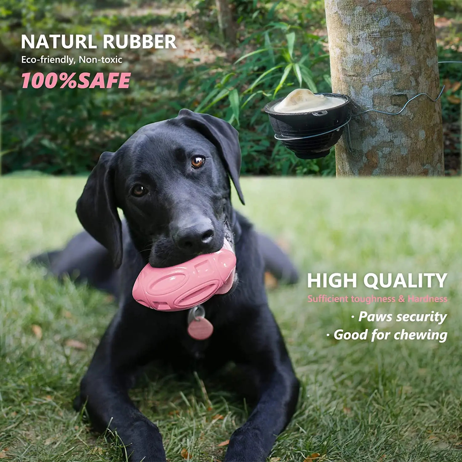 Squeaky Dog Toys for Aggressive Chewers Rubber Puppy Chew Ball Teeth grinding cleaning Durable Pet Toy for Medium Large Breed 240722
