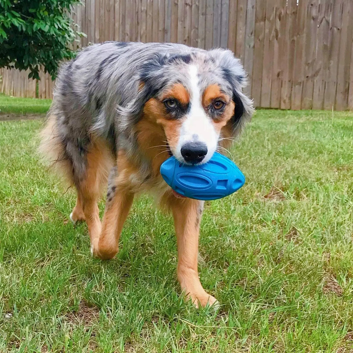 Squeaky Dog Toys for Aggressive Chewers Rubber Puppy Chew Ball Teeth grinding cleaning Durable Pet Toy for Medium Large Breed 240722