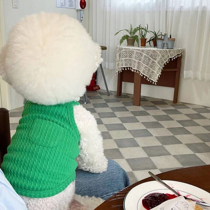 Summer Thin Vest Breathable For Small Dogs Chihuahua French Bulldog clothing Puppy Clothes Dog Accessories 240722