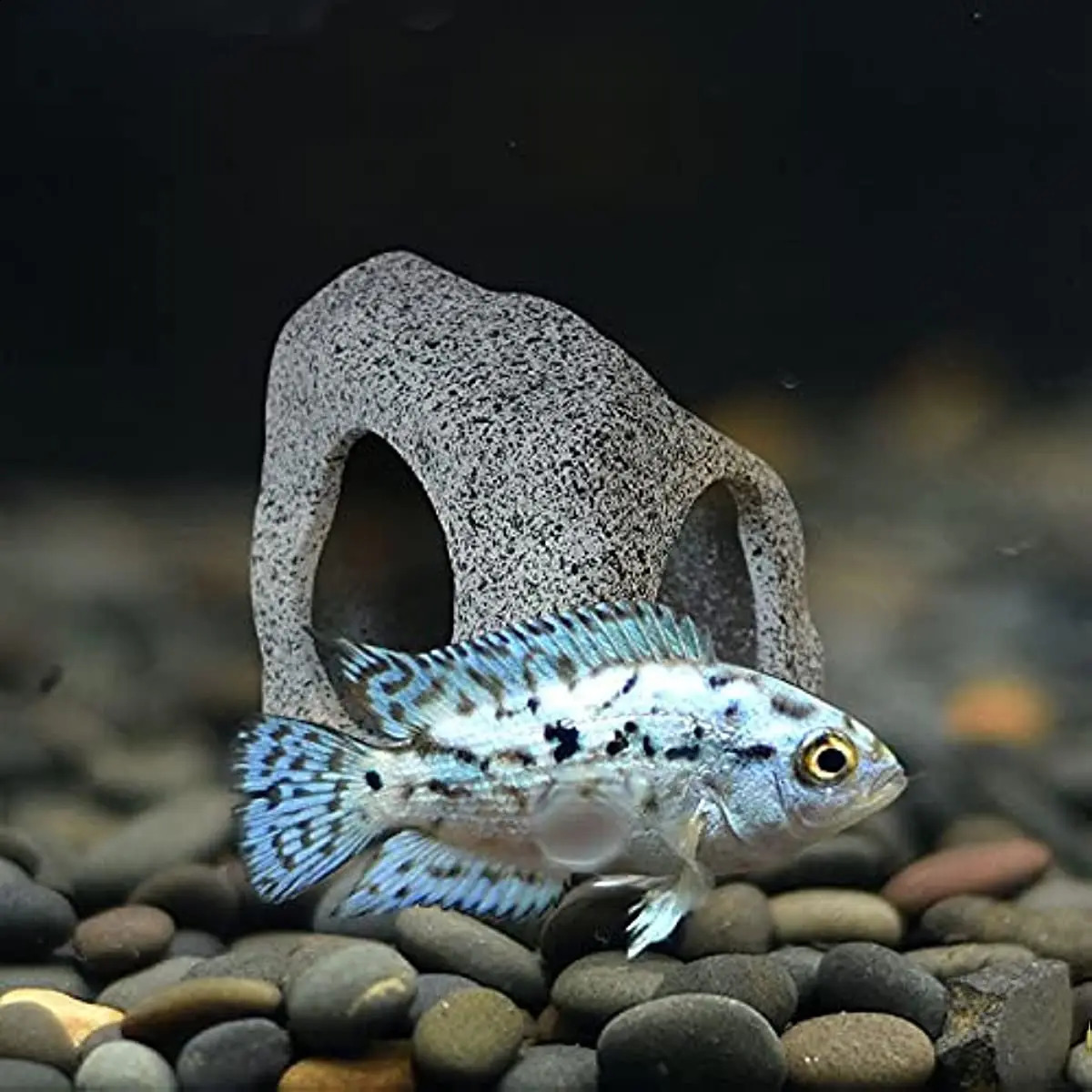 Aquarium Hideaway Rock Cave For Aquatic Pets To Breed Play And Rest Fish Tank Ornaments Decor Stone 240723