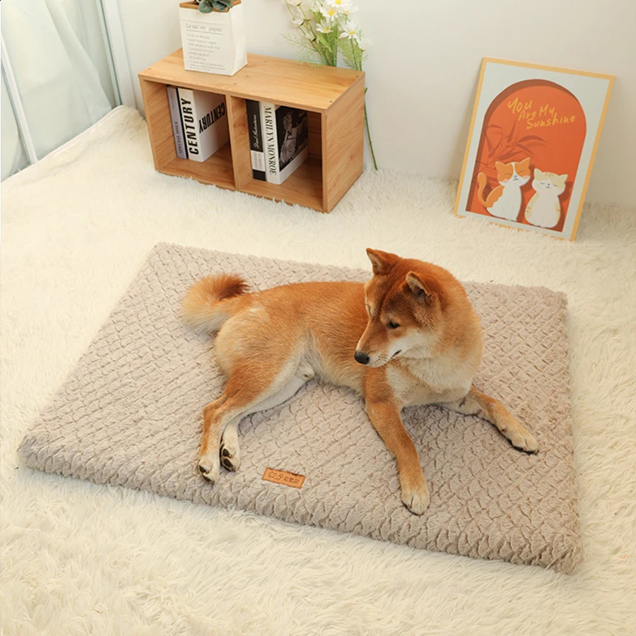 Short Plush Removable Washable Pet Bed High Elasticity Non-Collapse Dog Bed Suitable For Small And Medium Dogs and Cats 240722