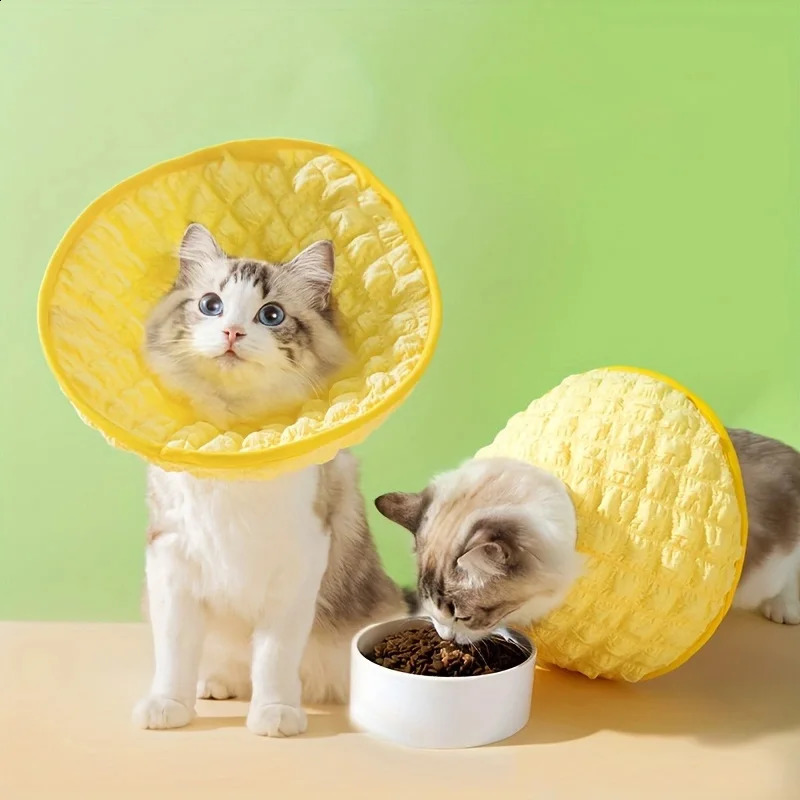 Cat Elizabeth Collar Adjustable Cat Cone Collar Cat Recovery Collar To Stop Licking 240722