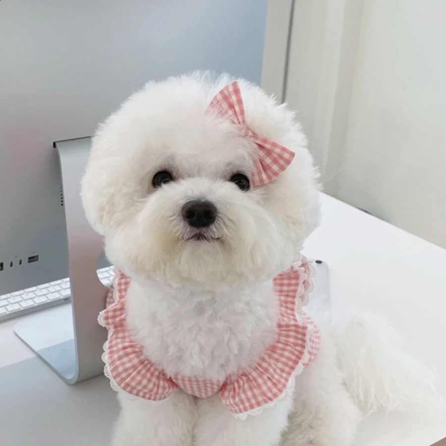 Princess Pink Plaid Dress Pet Clothing Teddy Pomeranian Bears Small Dog Cat Skirt 240722 H260130