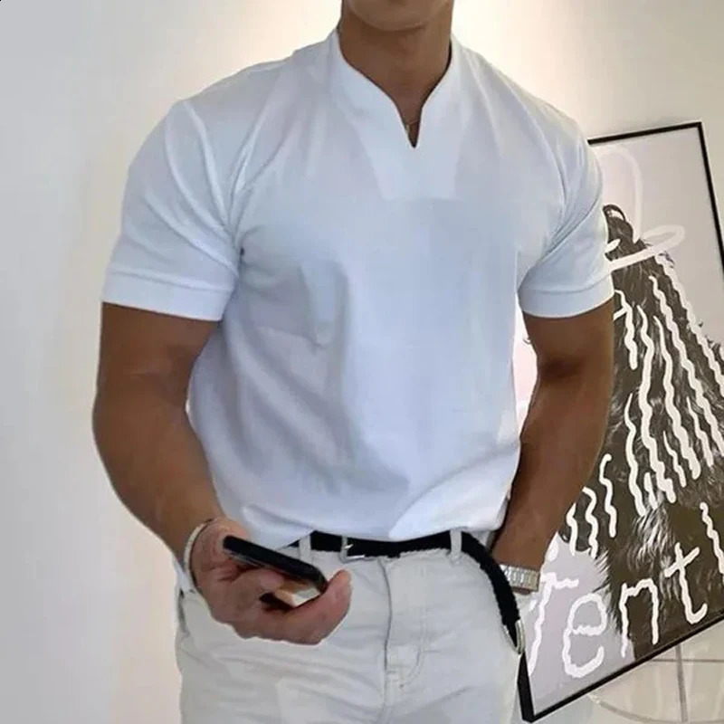 TUSHANGGE Mens Polo T-Shirts Short Sleeve V-Neck Tops Daily Mens Solid Color Clothes Golf Shirts Workout Fitness Sports Wear 240723 - view 5