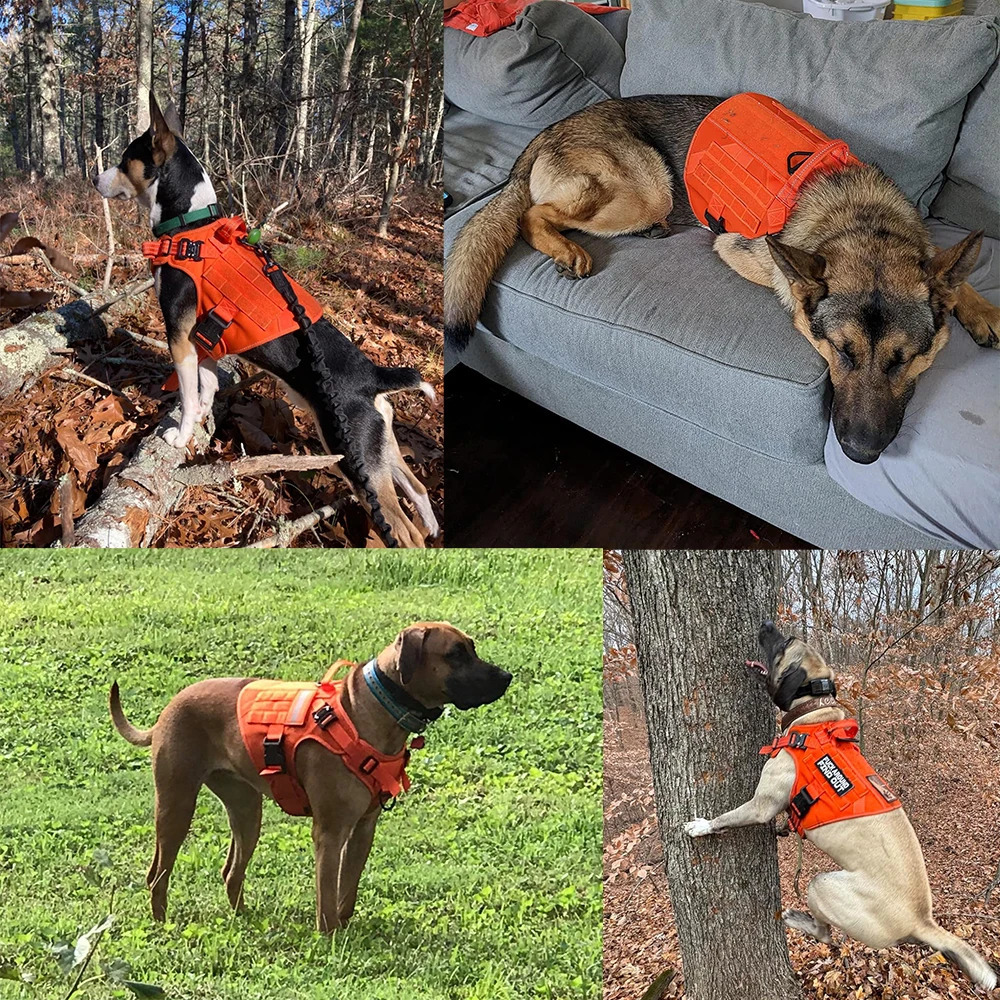 Orange Dog Harness For Large Medium Dogs Military Harness Collar Leash Set Adjustable Pet German Shepherd Tactical Training Vest 240722
