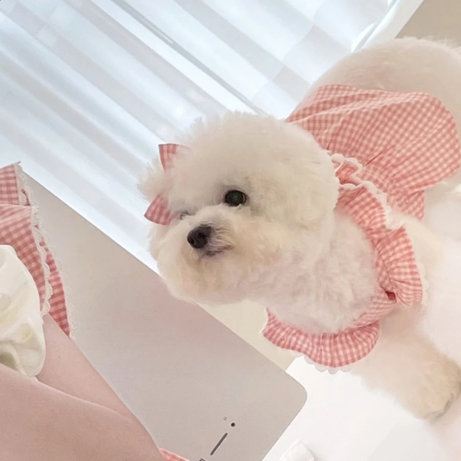Princess Pink Plaid Dress Pet Clothing Teddy Pomeranian Bears Small Dog Cat Skirt 240722 H260130