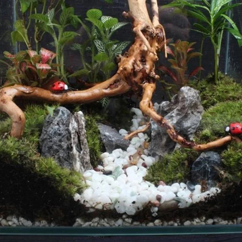 Natural Tree Trunk Driftwood Aquarium Fish Tank Reptile Cylinder Roots Plant Wood Decoration Ornament Accessory Aquarium Plants 240723
