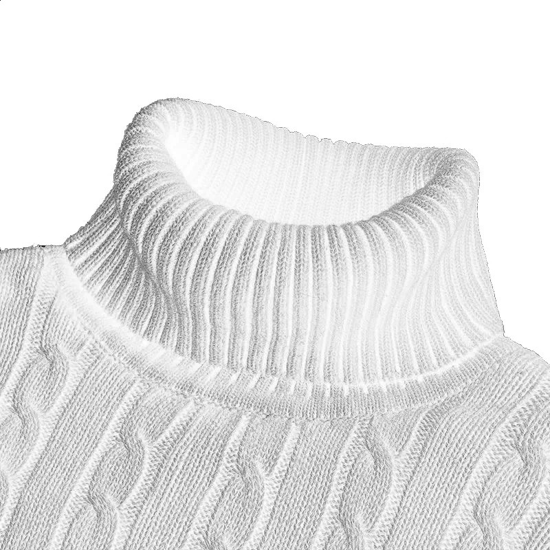 Winter Warm Turtleneck Sweater Casual Mens Rollneck Warm Knitted Sweater Keep Warm Men Jumper Knit Woolen Sweater 240724