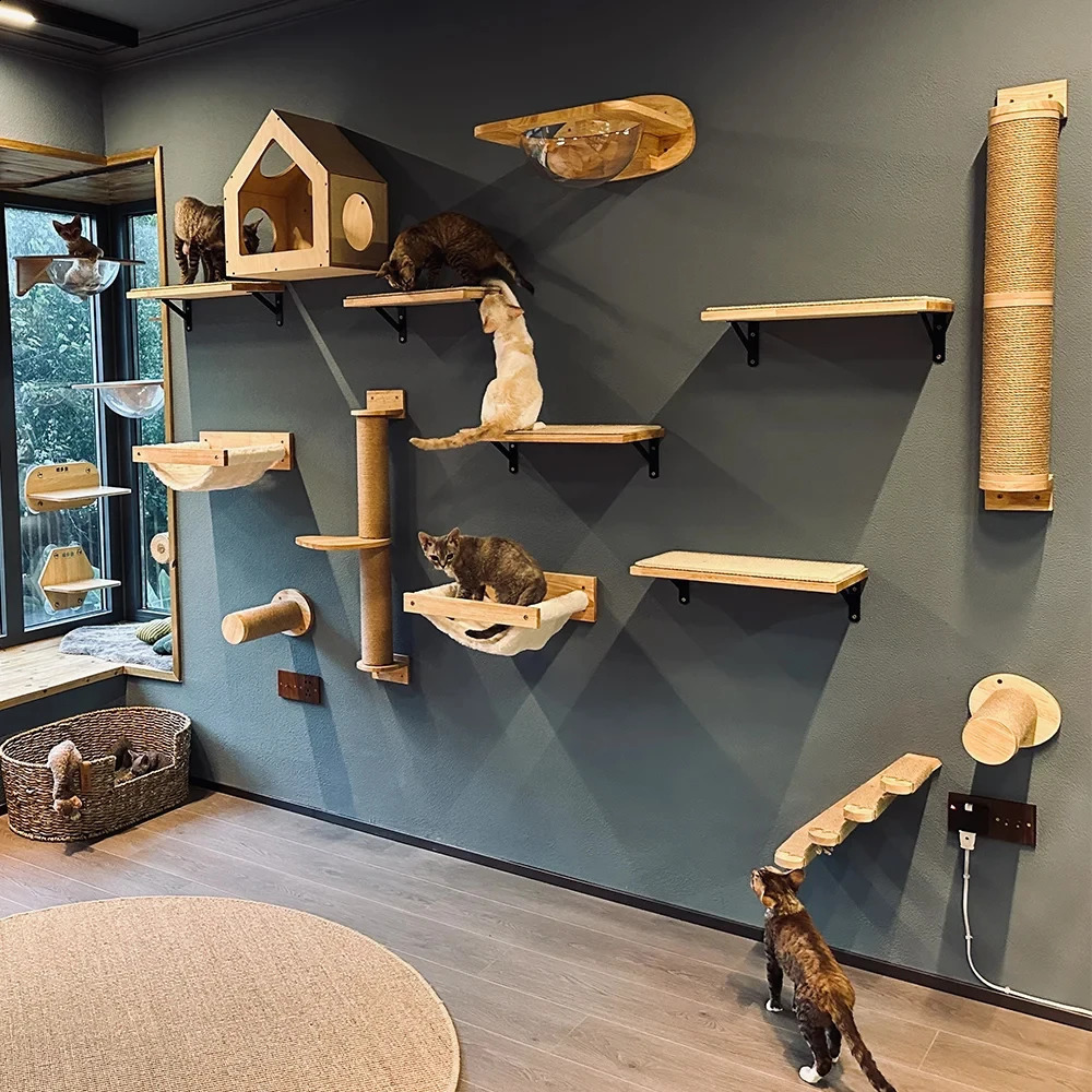 Tree Wall Mounted Climbing Wooden Shees Posts Ladders with Hammock and House Cat Bridge for Kittens Perch Sleeping 240723