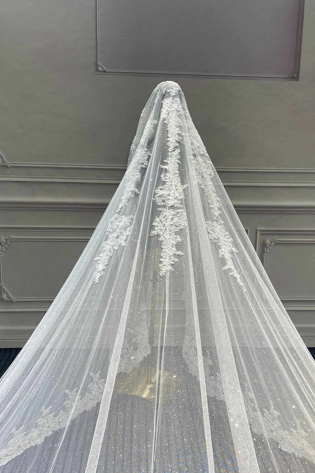 Shiny Wedding Veils Sequined One Layer Champagne White Ivory 3M Length Bridal Veil Custom Made Luxury Sprkling Long Head Dresses