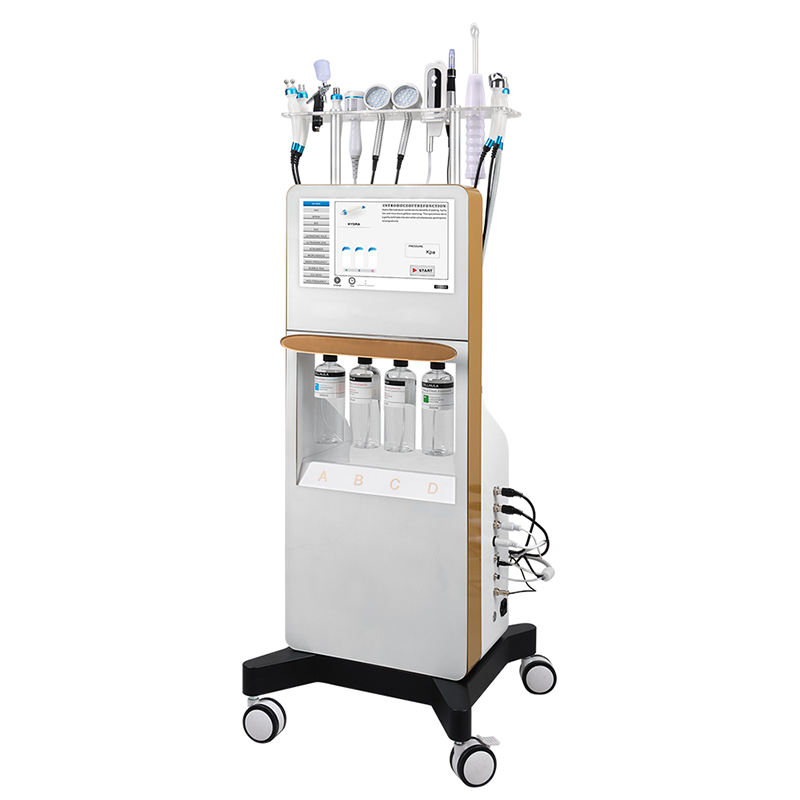 14 IN 1 Hydro Deep Cleaning Machines Hydra Oxygen Facial Microdermabrasion Diamond Dermabrasion Glow Machine RF SPA Equipment