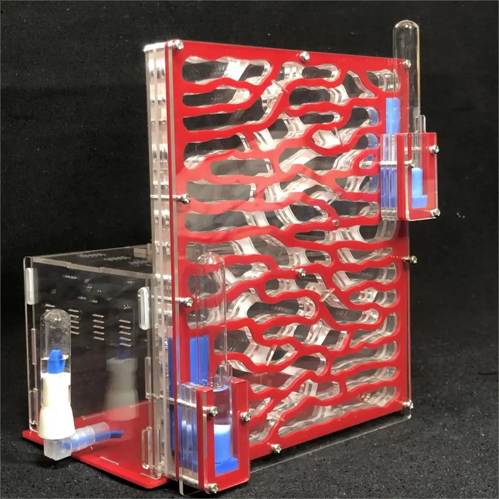 DIY Large Acrylic Ant Farm with Feeding Area Big Ants House Ant Nest Villa Insect Pet Anthill Workshop 6 Layers 19.5*15*22cm 240724