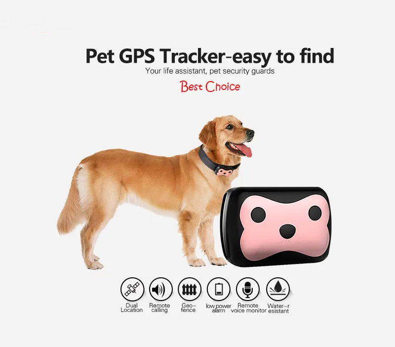 Mini Pet 4G GPS Tracker Waterproof Collar for Dog Cats Geo-Fence Free APP Platform Long Standby Tracking Device