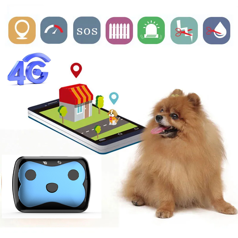 Mini Pet 4G GPS Tracker Waterproof Collar for Dog Cats Geo-Fence Free APP Platform Long Standby Tracking Device