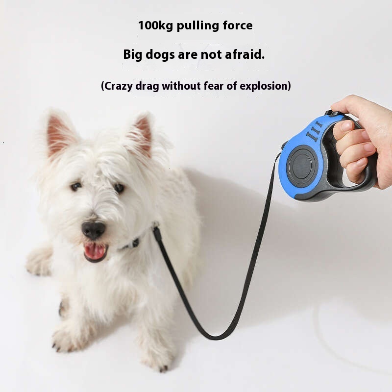 Pet automatic retractable bone walking dog chain leash, pet use