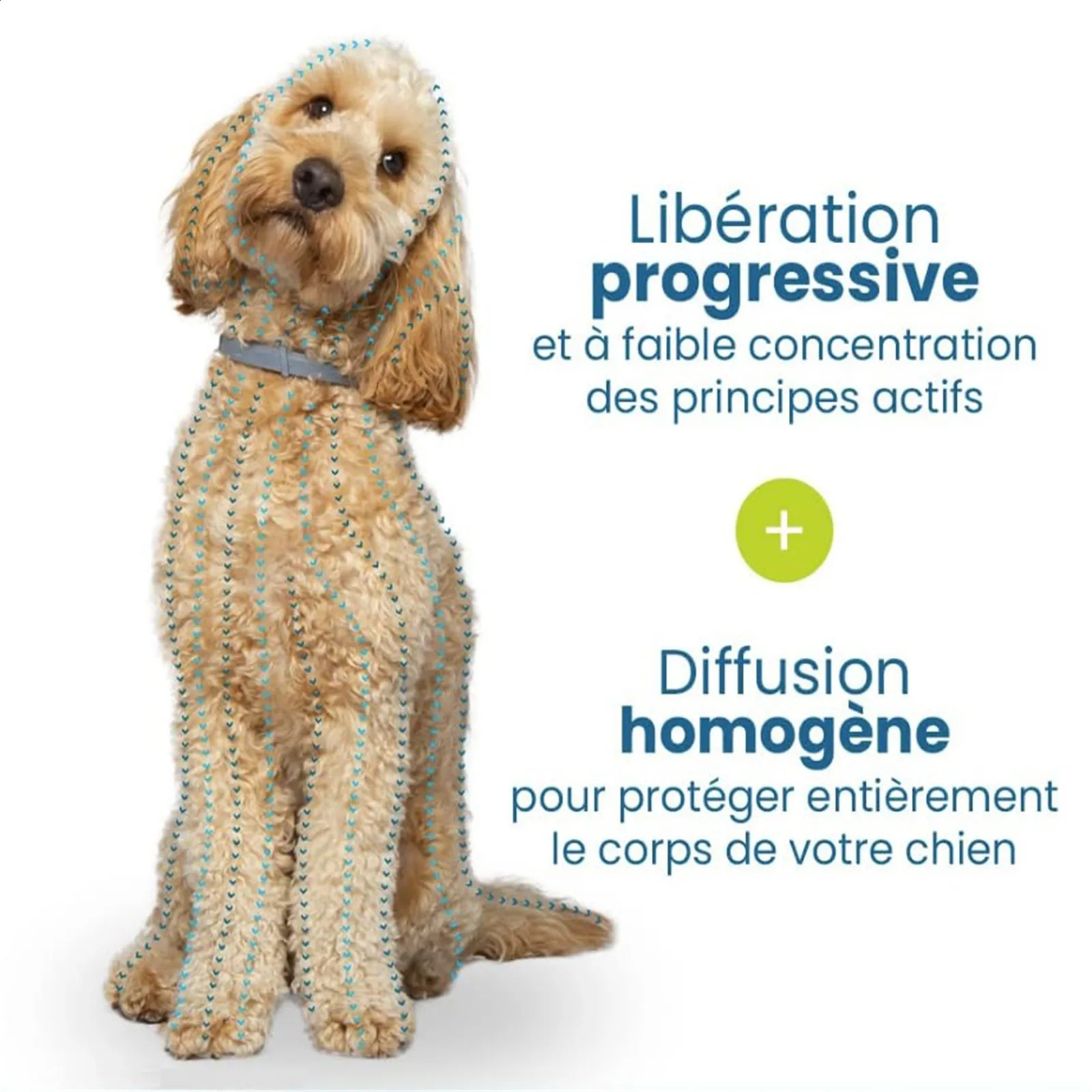 A Nt I Chip Necklace Ant Chips And Ticks For Dogs Large Over 8 Kg 2 Necklaces 240722