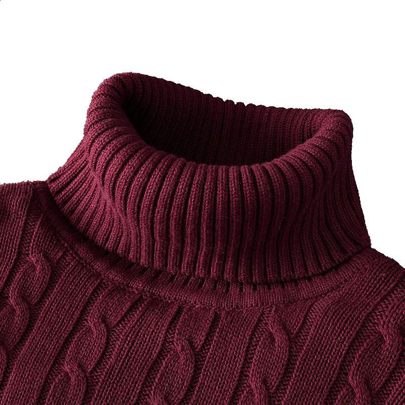 Winter Warm Turtleneck Sweater Casual Mens Rollneck Warm Knitted Sweater Keep Warm Men Jumper Knit Woolen Sweater 240724