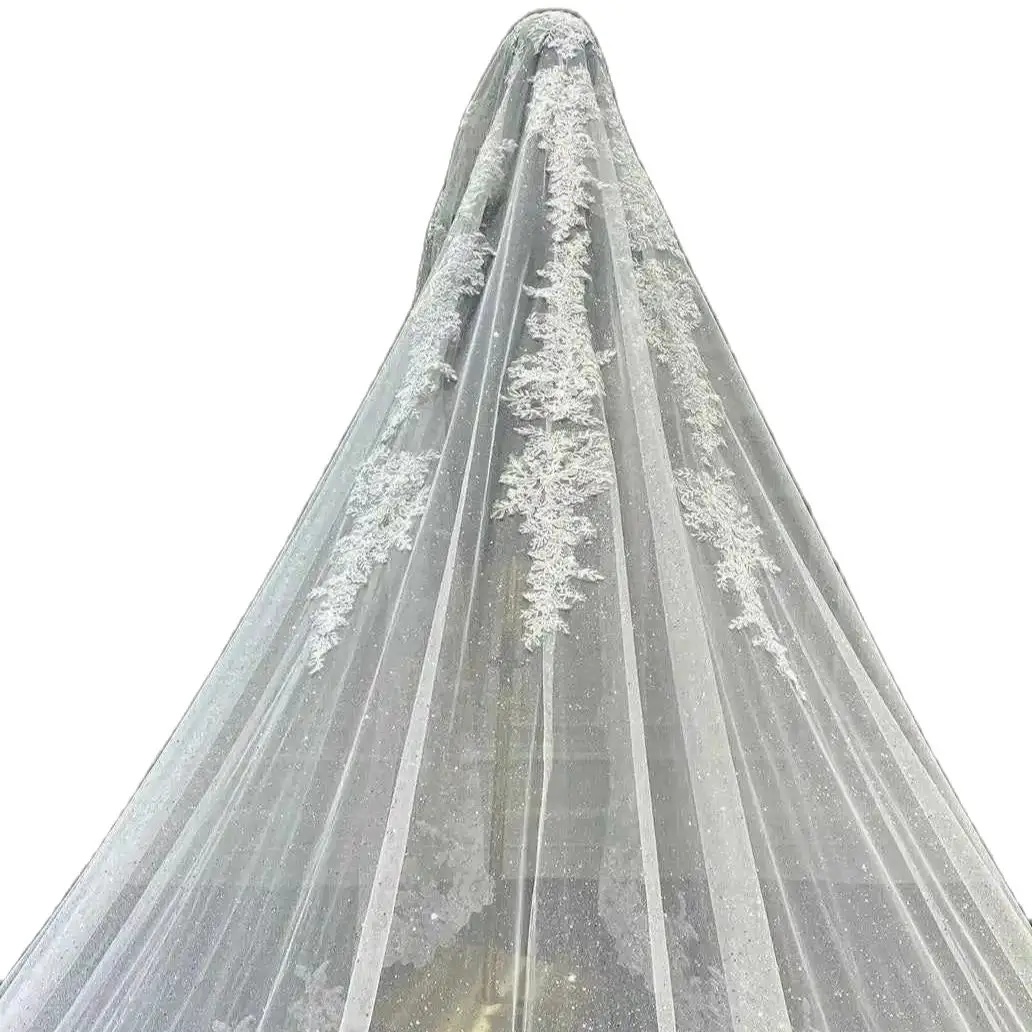 Shiny Wedding Veils Sequined One Layer Champagne White Ivory 3M Length Bridal Veil Custom Made Luxury Sprkling Long Head Dresses