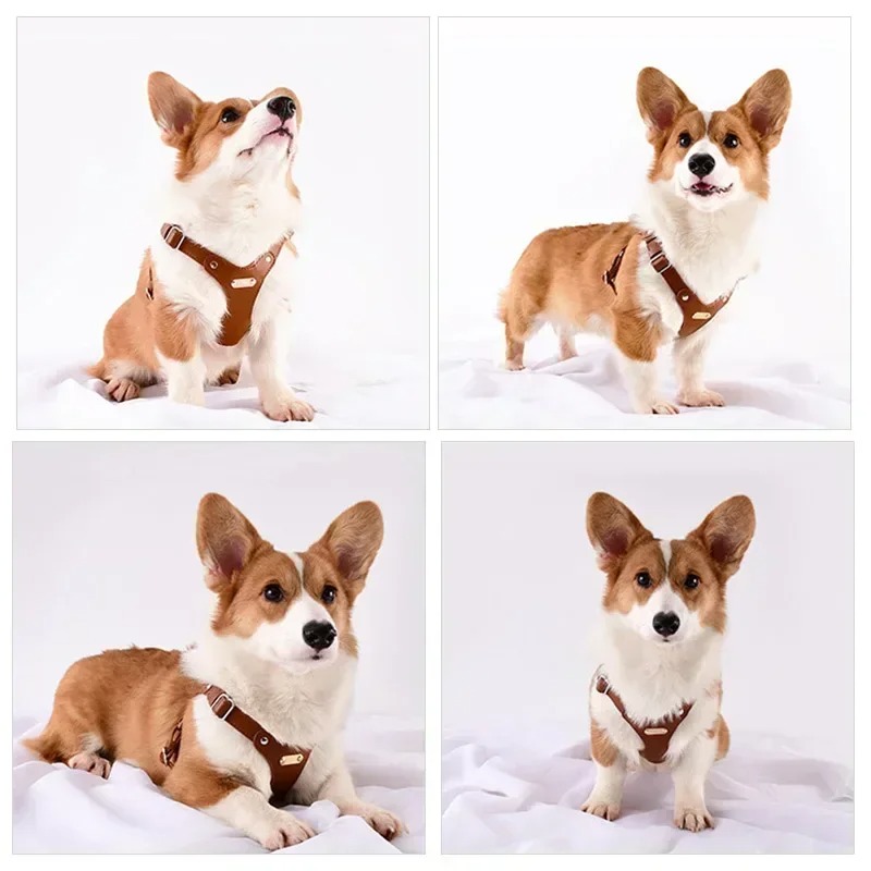 free shipping Pet Soft Leather Chest Strap Traction Rope Set Chain Outdoors Walking Vest Harness Small Medium Dog Supplies 06B Free shi