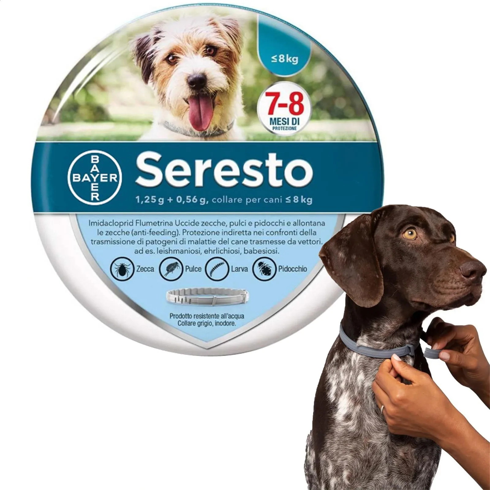 A Nt I Chip Necklace Ant Chips And Ticks For Dogs Large Over 8 Kg1 Necklaces 240722