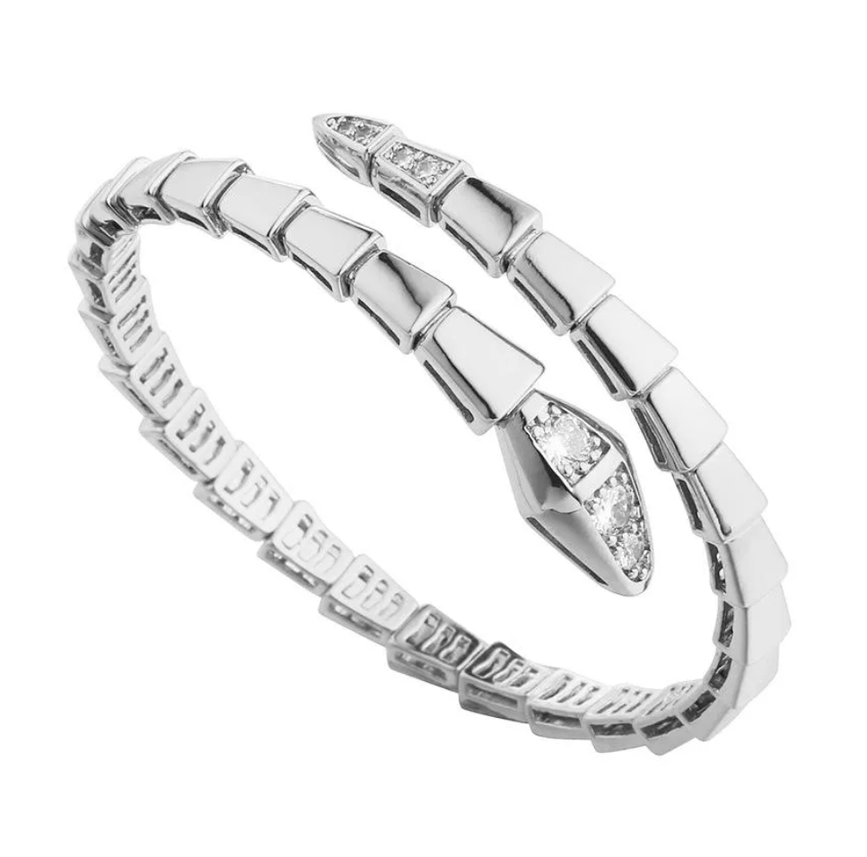 Bvlgarie Designer Jewelry Narrow Serpentine Circle Snake Designers Bracelet Gold Bracelets Bangle Party Birthday Gift High Quality Serpent 67A