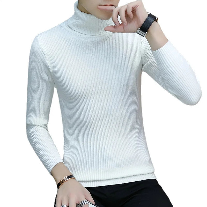 Autumn and Winter Mens Turtleneck Sweater Male Version Casual All-match Knitted Sweater 240724