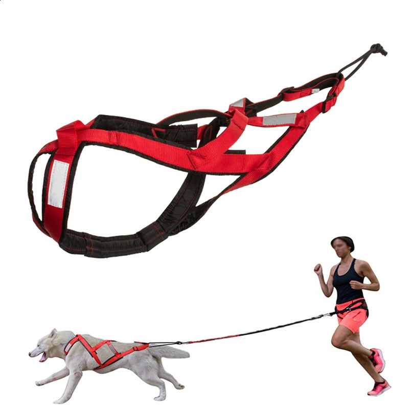 Pet Sledge Harness for Small Large Dogs Reflective Dog Vest Weight Pulling Sledding Harnesses Mushing X Back Chest Strap 240724
