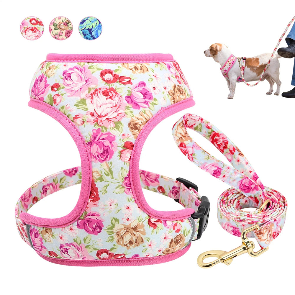 2025 new Cute Printed Dog Harness Leash Set Soft Mesh Pet Puppy Cat Adjustable Walking Lead For Small Medium Dogs Cats Chihuahua 240724