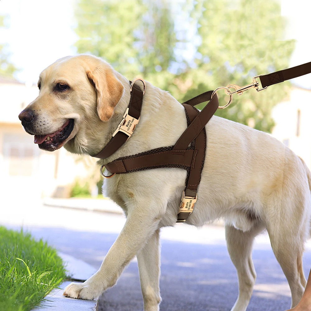 Personalized Dog Collar Harness Leash Set Custom Collars No Pull Pet Vest For Small Medium Large Dogs Pets Walking Lead Rope 240724