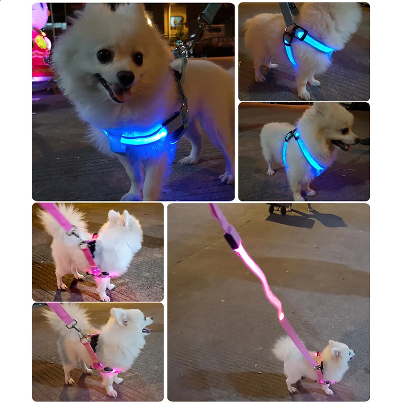 Adjustable LED Dog Harness No Pull Small Medium Glowing Nylon BreastBand Night Safety Arnes Perro Dropship Pets Accessories 240724
