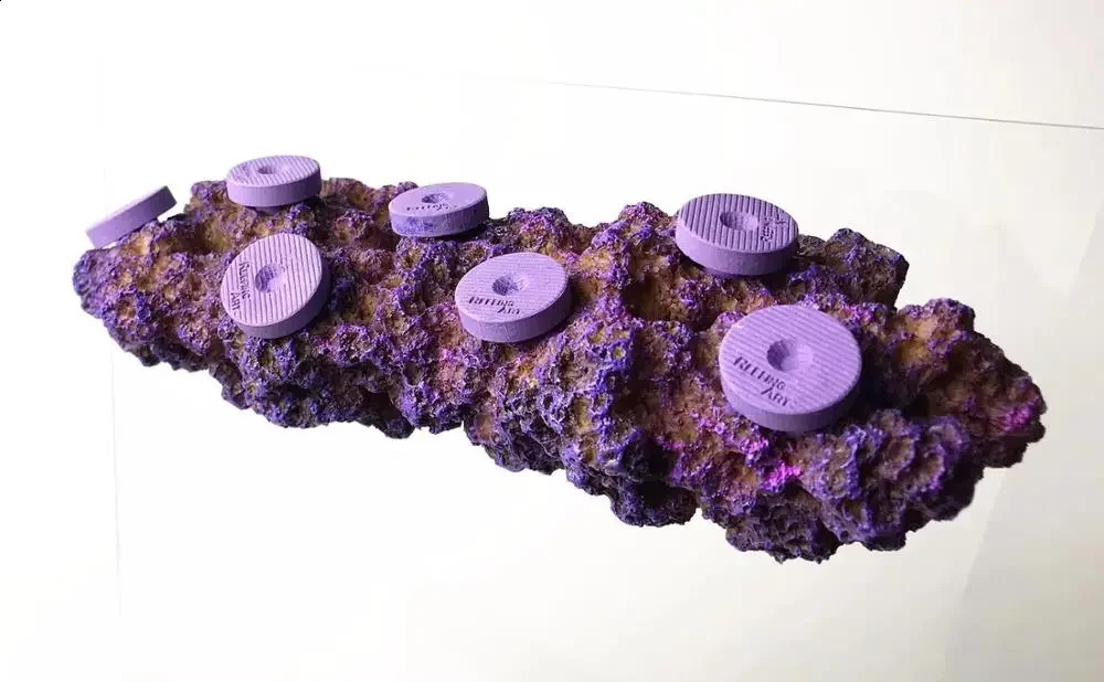 Reefing Art Aquarium Marine Fish Tank Magnetic Real Reef Frag Rack Aquarium Decoration 240717