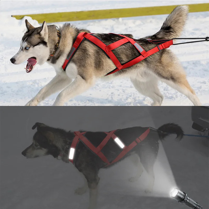 Pet Sledge Harness for Small Large Dogs Reflective Dog Vest Weight Pulling Sledding Harnesses Mushing X Back Chest Strap 240724