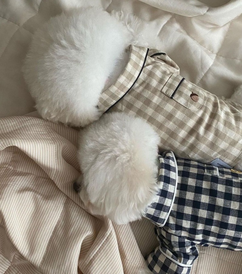 Spot Korean pet puppienal kitten dog Pet Dog Pajamas Comfortable Shirt for teddy Barnari Skunari Belomyosawa dog clothing