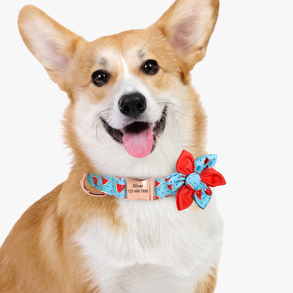 Personalized Cat Collar Printed Nylon Dog Cats Collars Custom Pet Puppy Necklace With Flower Cute For Small Medium Dogs Cats