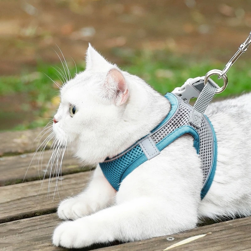 Pet Cat Harness Walking Lead Leash for Kitty Cat Dog Harness Set with Lead Cat Reflective Mesh Pet Chest Strap Harnais Pour Chat