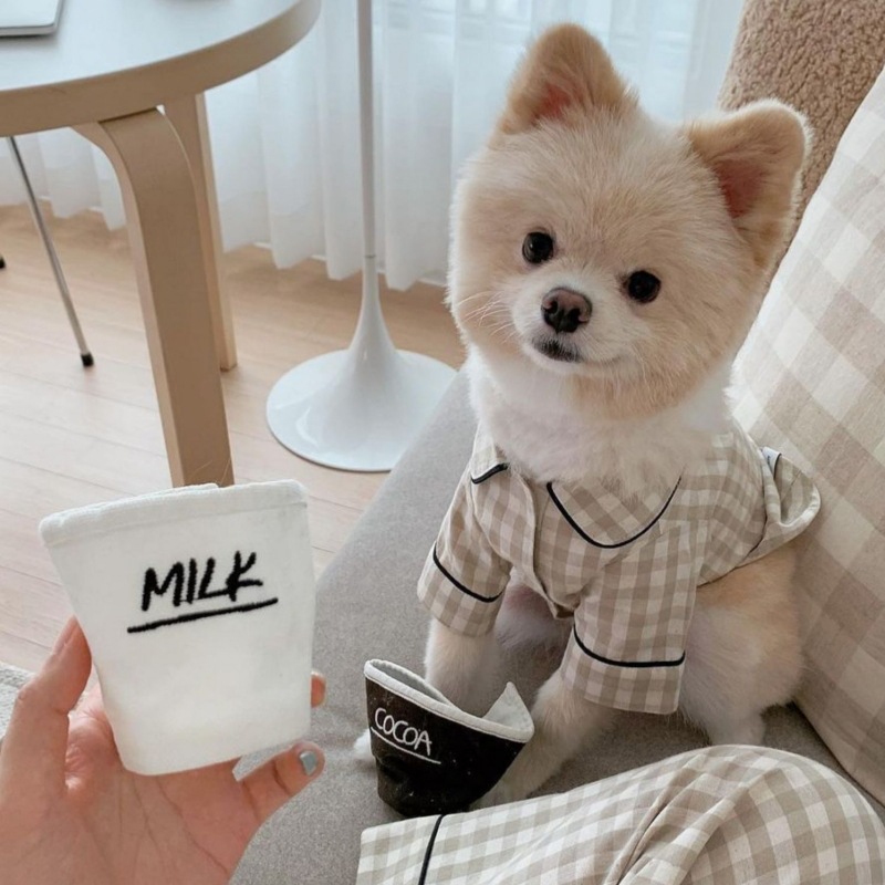 Spot Korean pet puppienal kitten dog Pet Dog Pajamas Comfortable Shirt for teddy Barnari Skunari Belomyosawa dog clothing