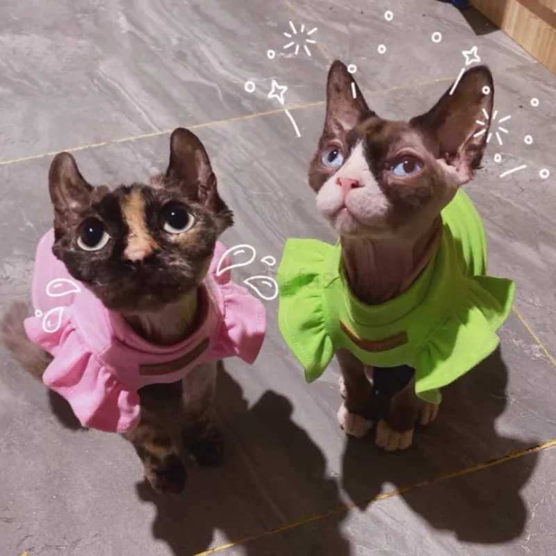 2021 Luxury Sphynx Cat Clothes Summer Dog Fancy Dress For Hairless Cats Clothing Small French Bulldog Puppy Costume Kittens VestB270726