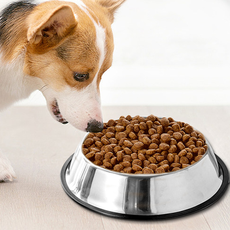 Stainless Steel Anti-Gulping Feeder Safe Washable Pet Food Water Bowl Small Medium Large Dog Slow Eating