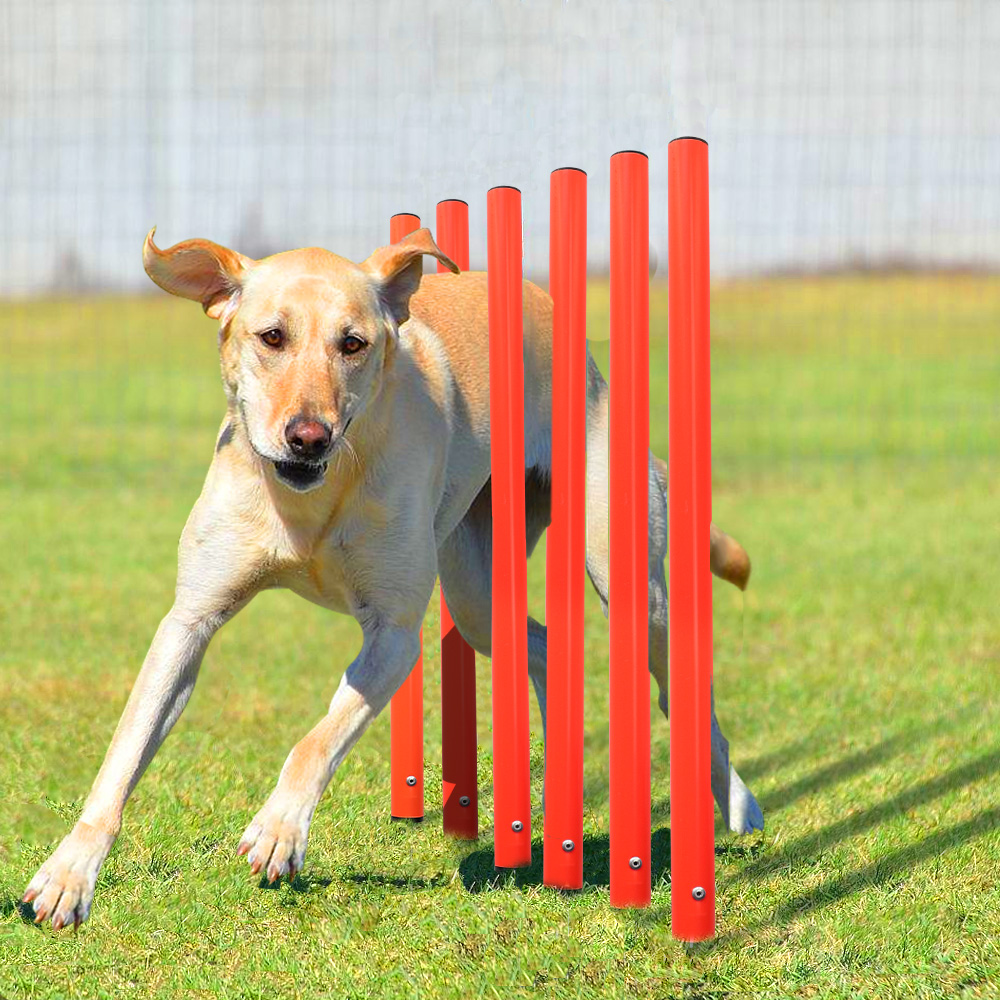 Outdoor Dog Obstacle Training Set Pet Agility Equipment Jumping Set Dog Training Accessories Dog Obstacle Course Pet Supplies