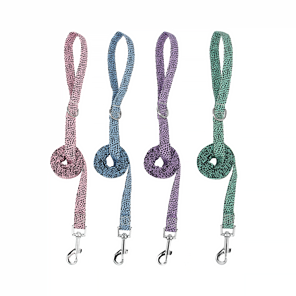 Dog Collar and Leash Set Combo Safety Set for Daily Outdoor Walking Running Training Small Medium Large Dog Custom Nameplate ID