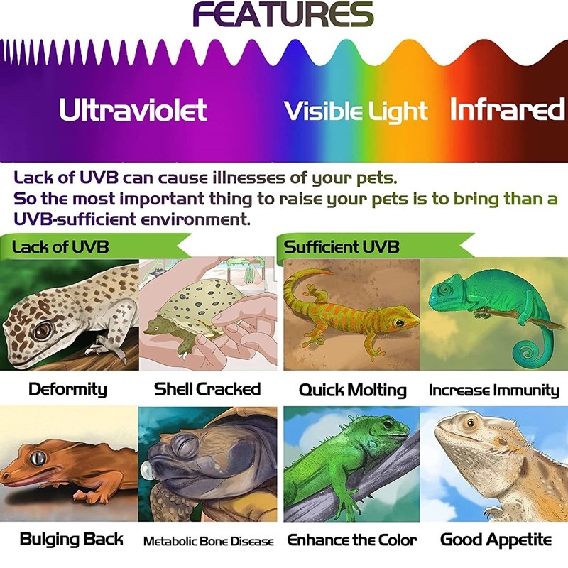 2pcs Fluorescent Color Changing Card Reptile Lighting UVA UVB Tester Test Card for Rapid Detection of UVB Amphibian Lamp