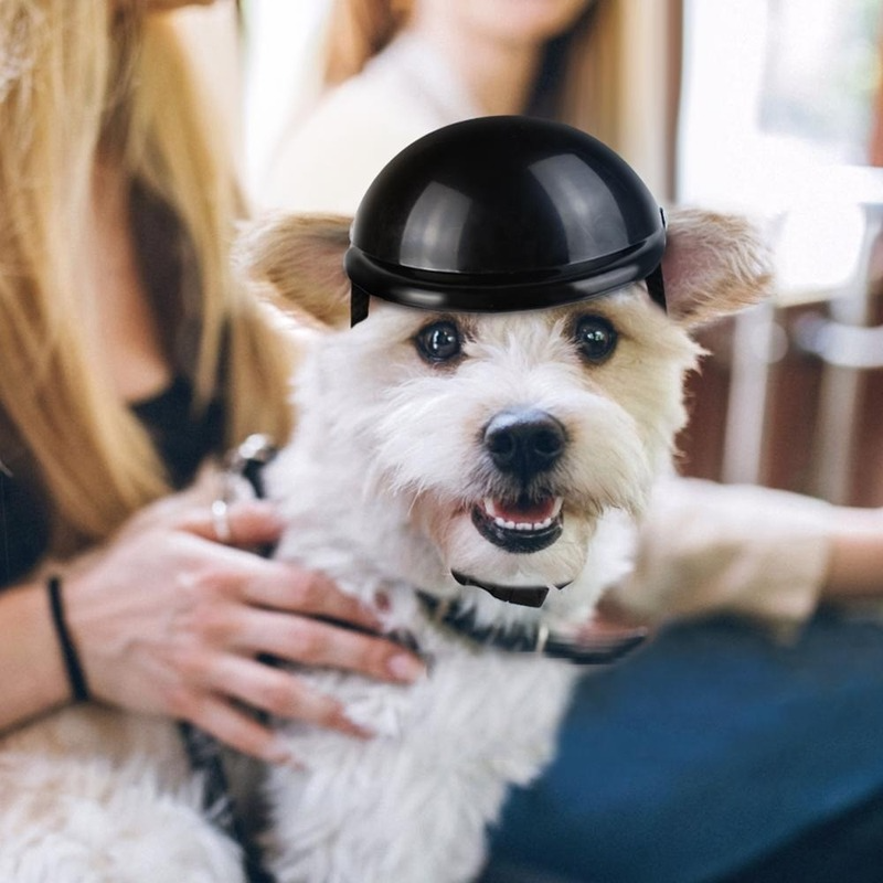 Pet Helmets Dog Cat Bicycle Motorcycle Helmet with Sunglasses Safety Doggie Hat for Traveling Head Protection Pet Supplies S / M - view 5