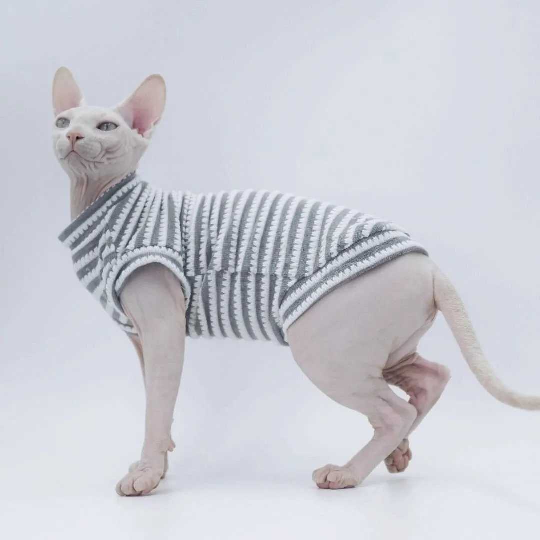 Cute Cat Clothes Summer Sphinx Striped Bottoming Shirt Kittens Vest For Sphynx Cat Breathable Pet Clothing DovenRex CostumeB270726