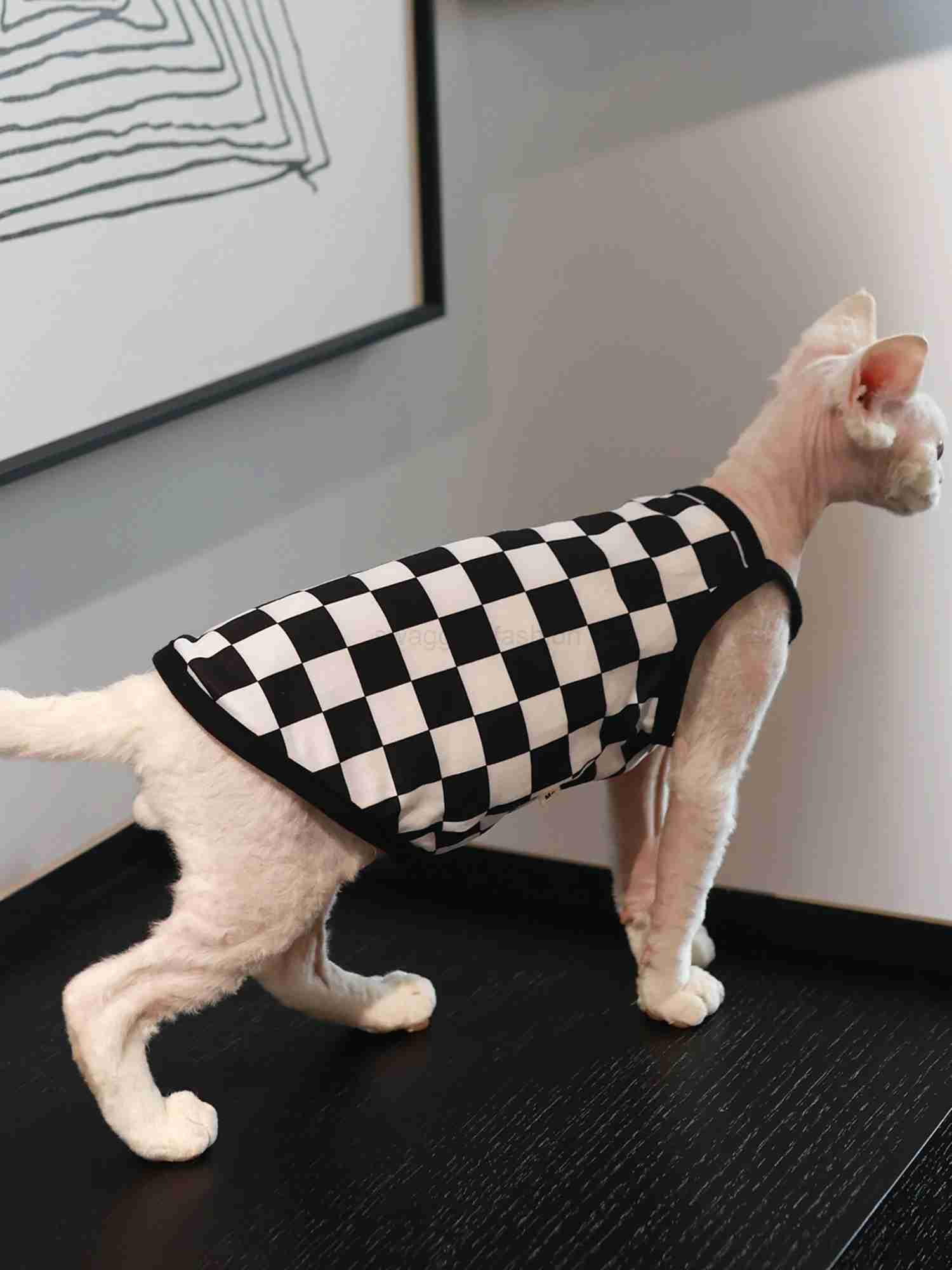 Pet Cat Clothes Sphynx Kitten Plaid Vest Shirt For Sphinx Devon Rex Breathable Cat Camisole Soft Summer Clothing Cat SupplierB270726