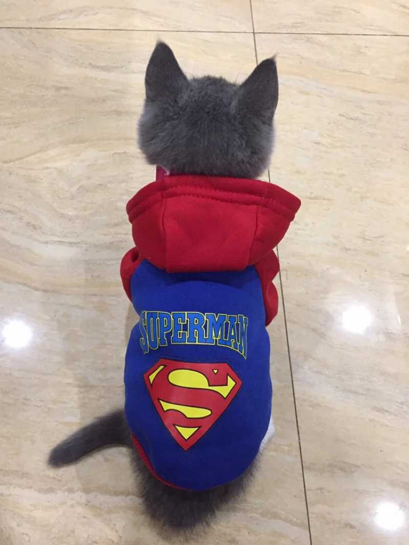 Autumn Winter Puppy Cat Coat Clothes Fashion Pet Hoodies for Small Dogs Cats Pomeranian Sphynx Kitten Clothing ropa para gatosB270726