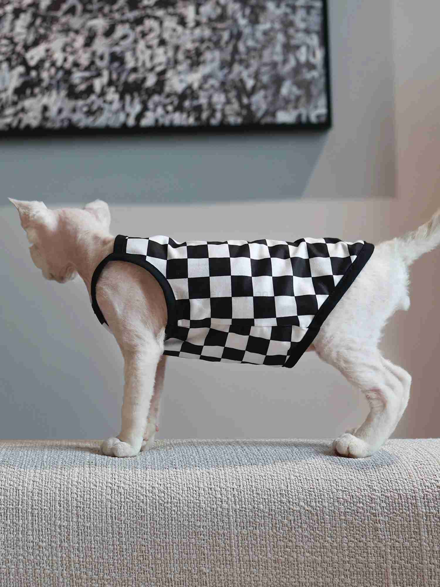 Pet Cat Clothes Sphynx Kitten Plaid Vest Shirt For Sphinx Devon Rex Breathable Cat Camisole Soft Summer Clothing Cat SupplierB270726