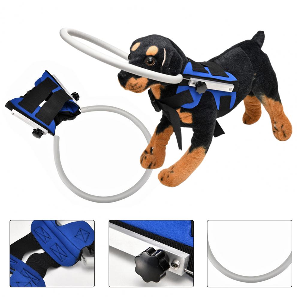 Excellent Pet Protective Halos 2 Colors Anti-collision Ring Reusable Avoid Accidents Blind Puppy Protective Collar Ring