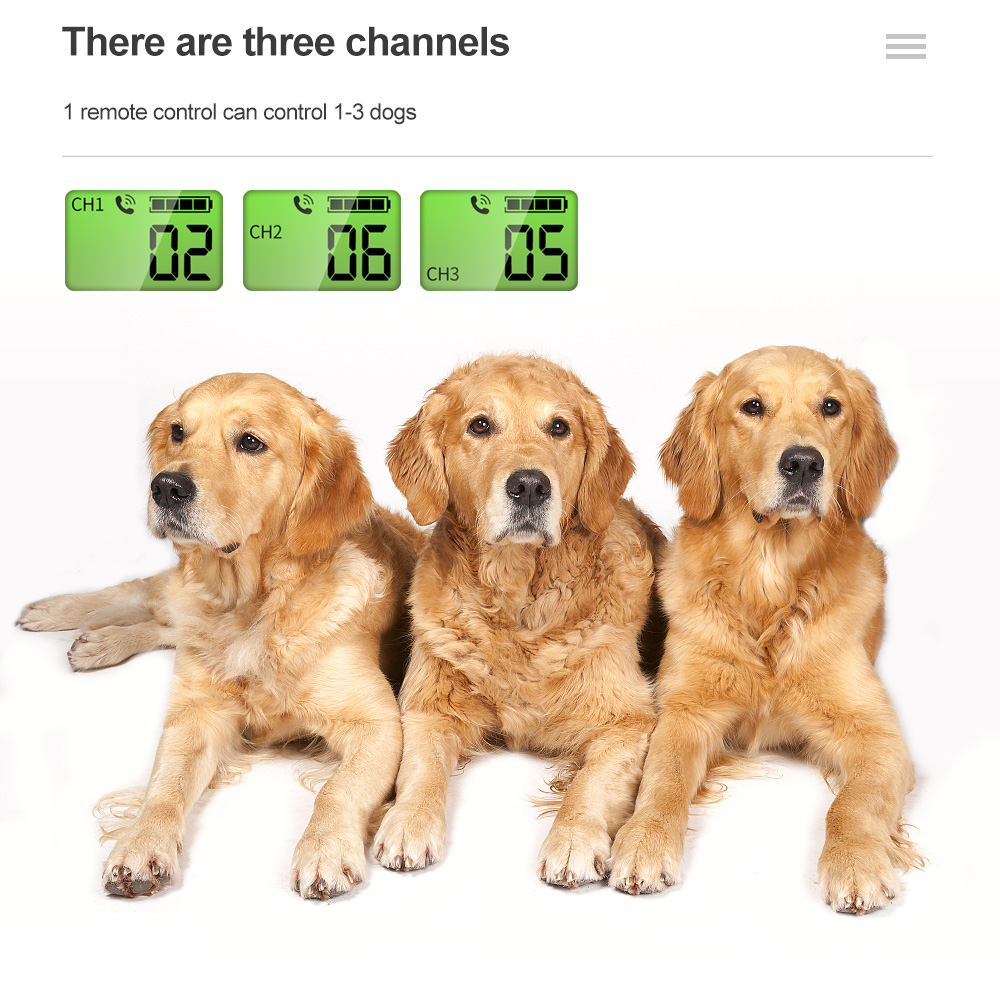 1500M Waterproof Rechargeable Electric Electronic Shock Vibration Voice Pet Dog Training Collar with Remote