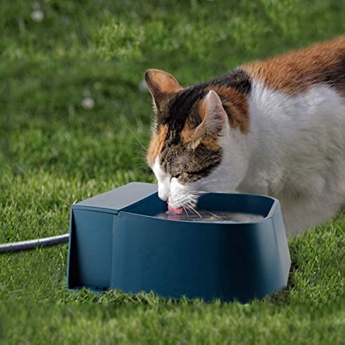 High Capacity Pet Dog Bowl Floating Ball Automatic Water Drinker Pet Storage Bowl Animal Feeder 2L Automatic Water Feeder Bowl