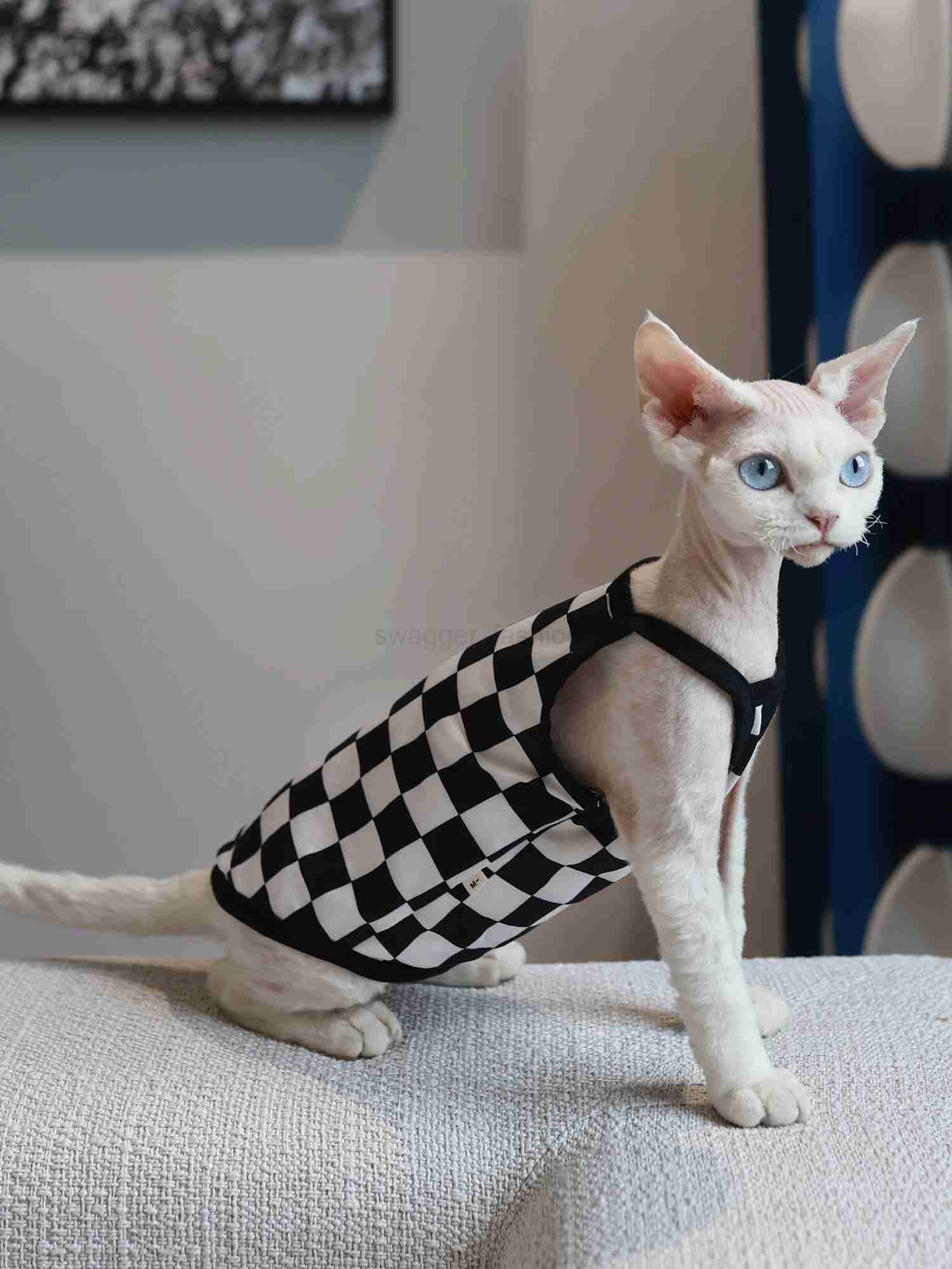 Pet Cat Clothes Sphynx Kitten Plaid Vest Shirt For Sphinx Devon Rex Breathable Cat Camisole Soft Summer Clothing Cat SupplierB270726